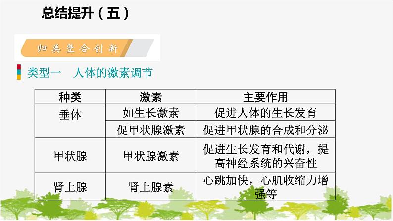 苏教版七年级生物下册 第十三章  人是生物圈中的一员   小结与复习课件06