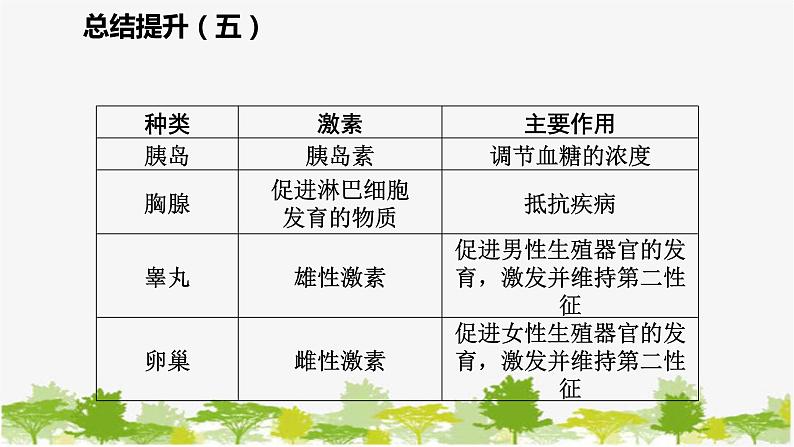 苏教版七年级生物下册 第十三章  人是生物圈中的一员   小结与复习课件07