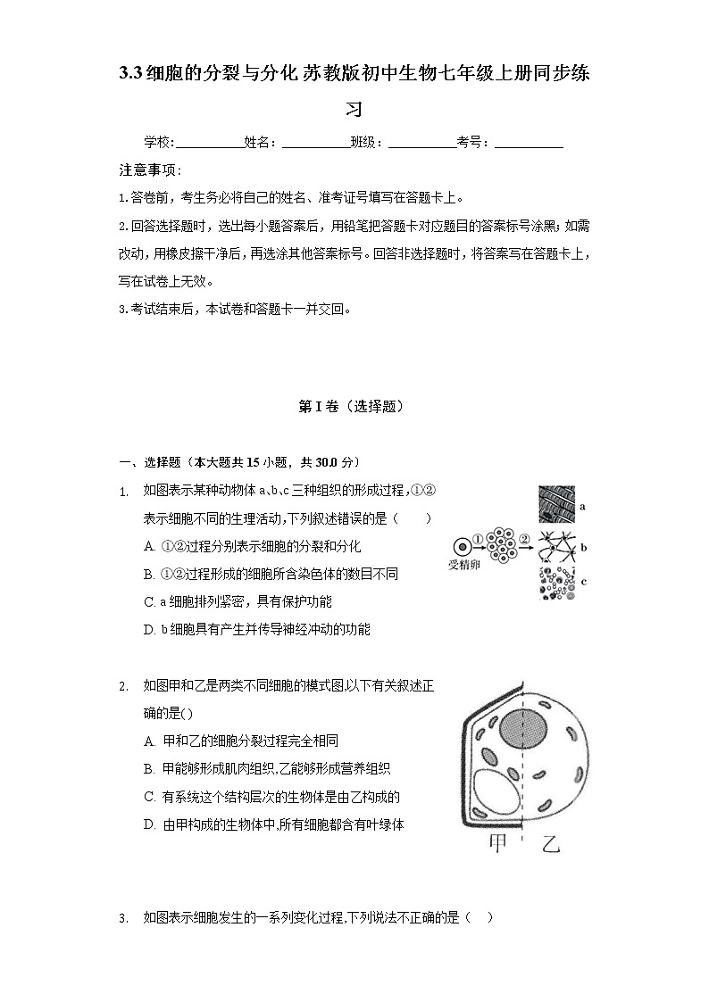 3.3细胞的分裂与分化  苏教版初中生物七年级上册同步练习（含答案解析）第1页