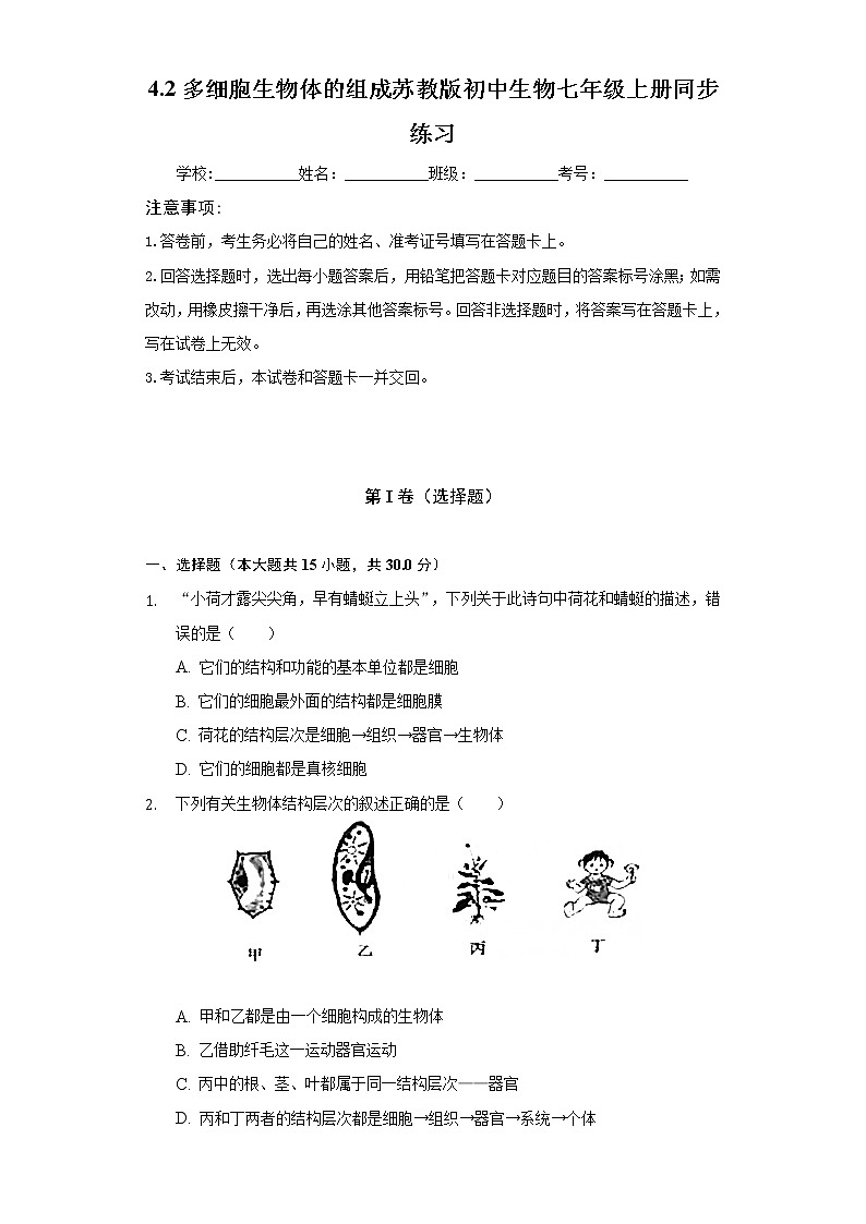 4.2多细胞生物体的组成  苏教版初中生物七年级上册同步练习（含答案解析）01