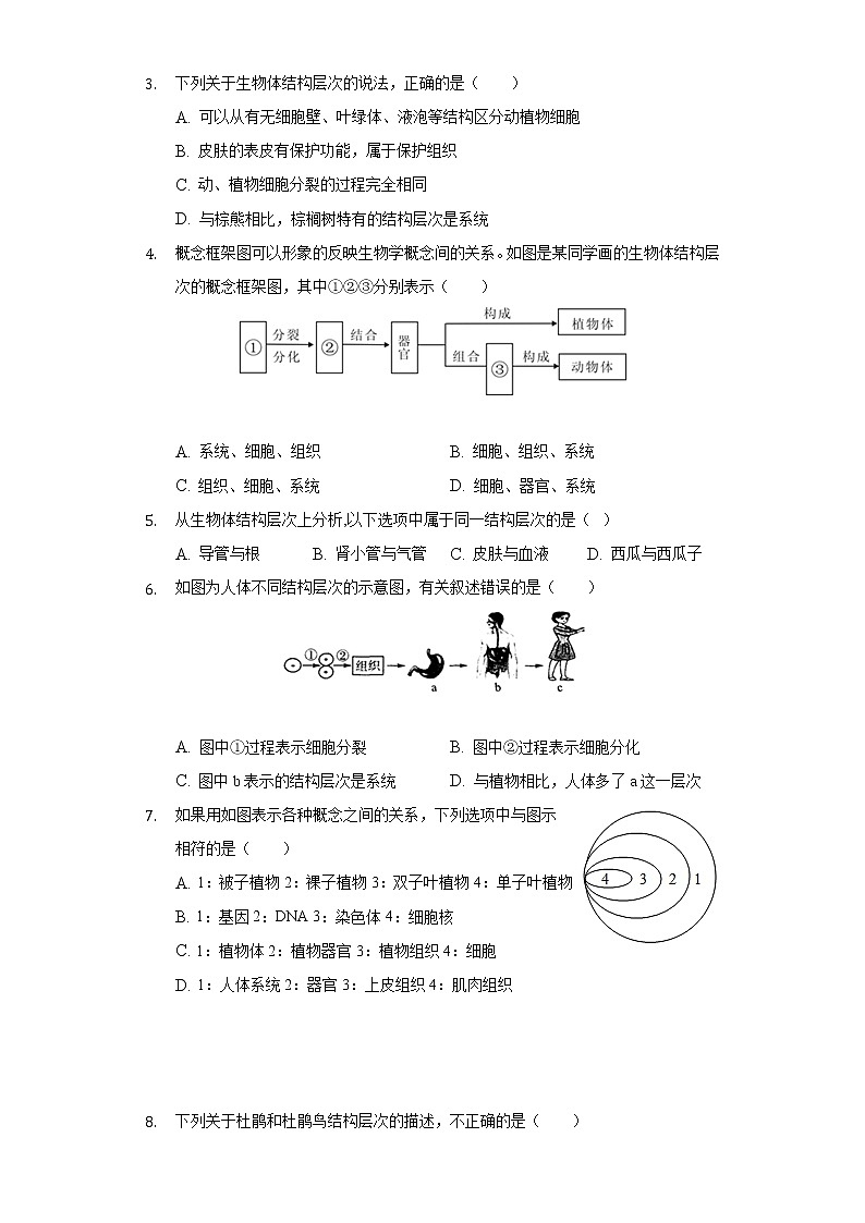 4.2多细胞生物体的组成  苏教版初中生物七年级上册同步练习（含答案解析）02