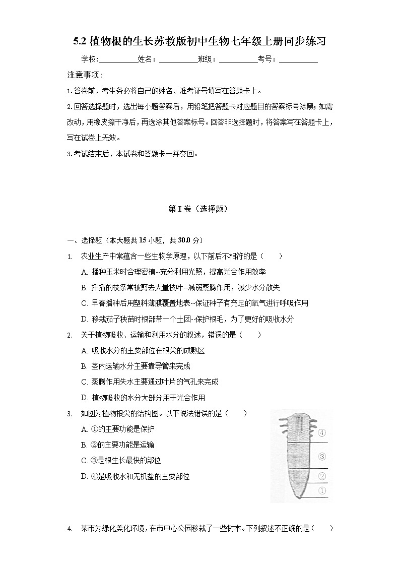 5.2植物根的生长 苏教版初中生物七年级上册同步练习（含答案解析）01