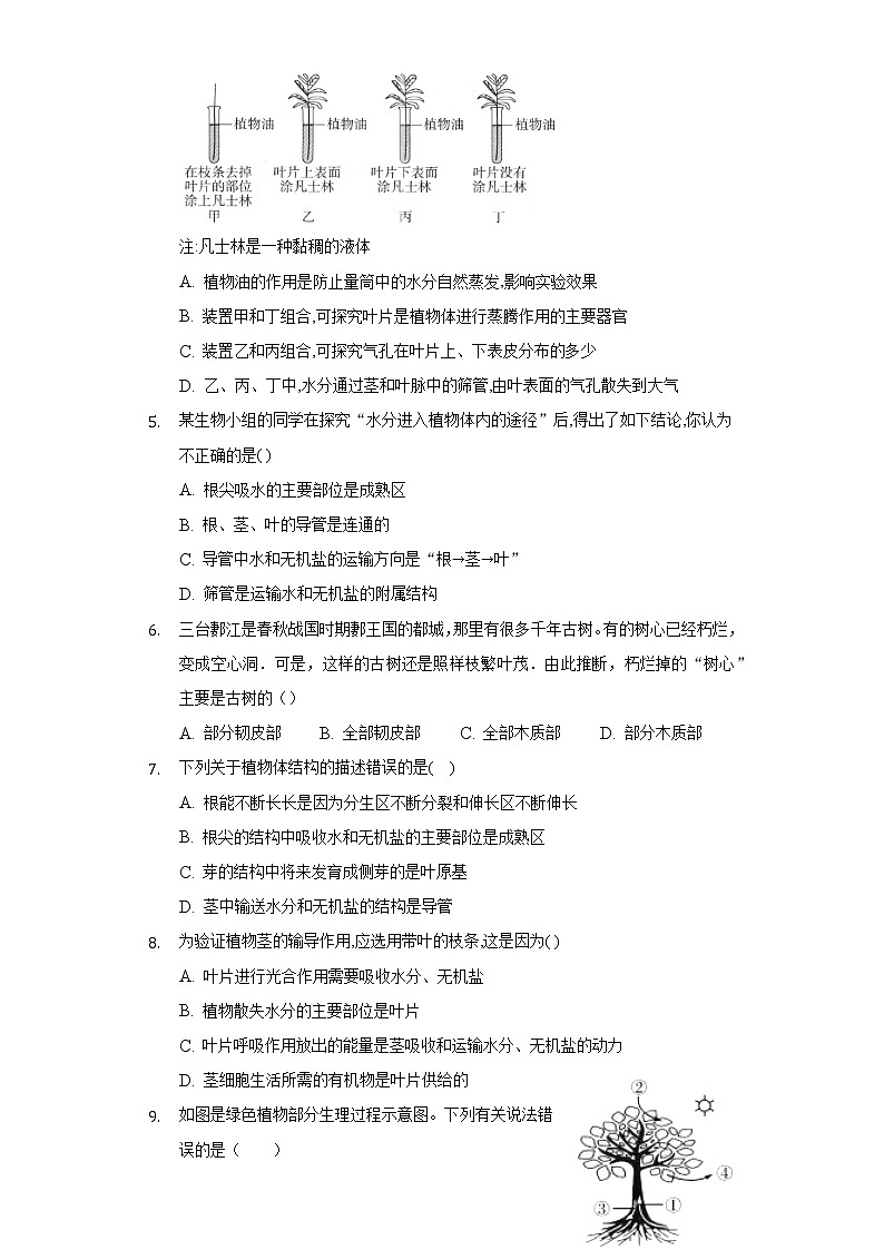 5.4植物茎的输导功能  苏教版初中生物七年级上册同步练习（含答案解析）02