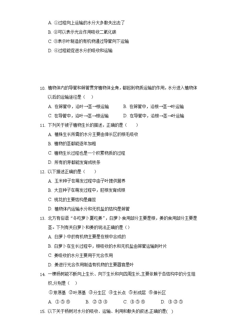 5.4植物茎的输导功能  苏教版初中生物七年级上册同步练习（含答案解析）03