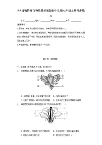 2020-2021学年第3单元 生物圈中的绿色植物第5章 绿色植物的一生第五节 植物的开花和结果精品达标测试