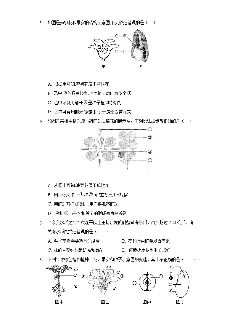 5.5植物的开花和结果  苏教版初中生物七年级上册同步练习（含答案解析）02