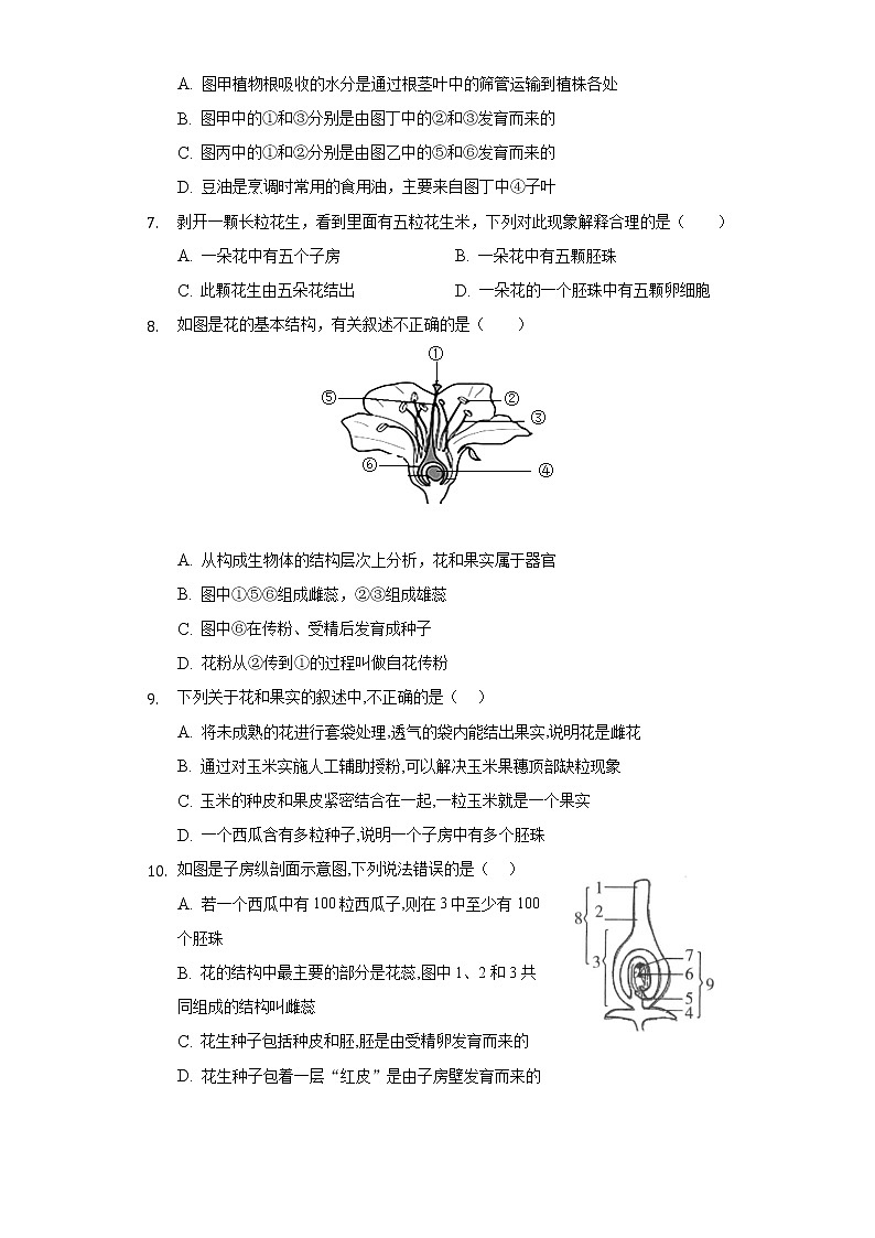 5.5植物的开花和结果  苏教版初中生物七年级上册同步练习（含答案解析）03