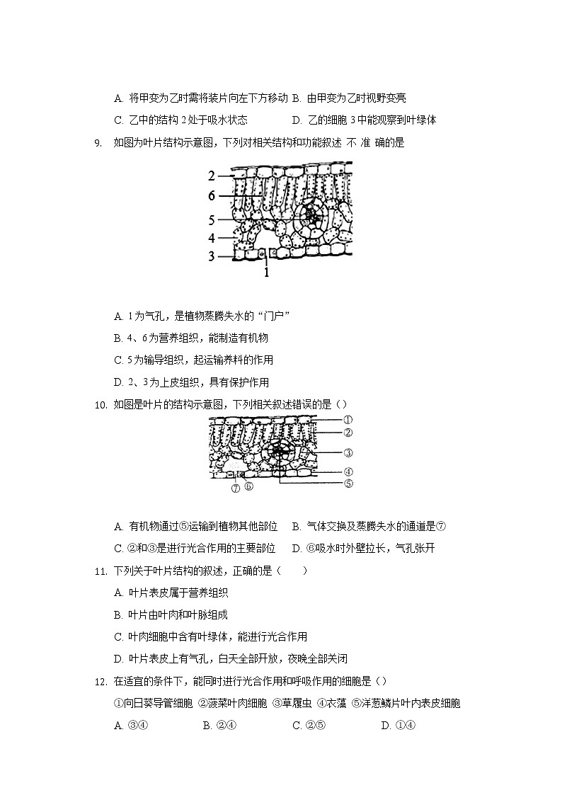 6.2植物光合作用的场所  苏教版初中生物七年级上册同步练习（含答案解析）03