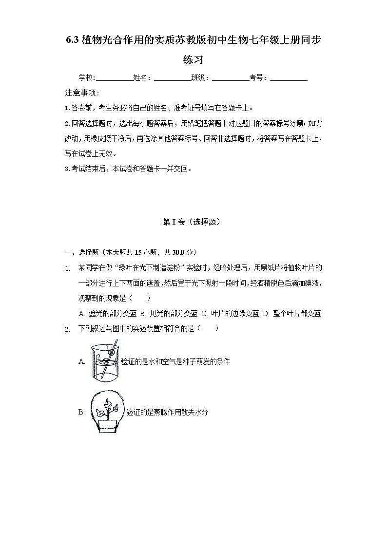 6.3植物光合作用的实质  苏教版初中生物七年级上册同步练习（含答案解析）01