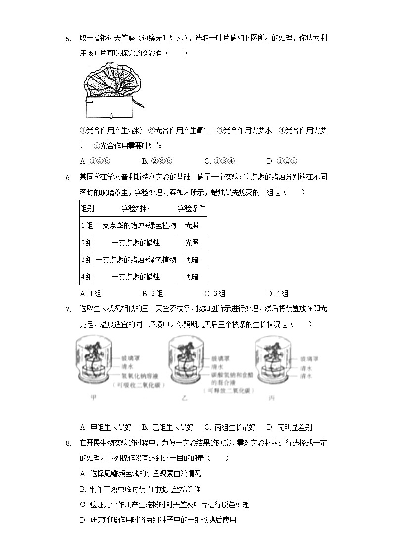 6.3植物光合作用的实质  苏教版初中生物七年级上册同步练习（含答案解析）03