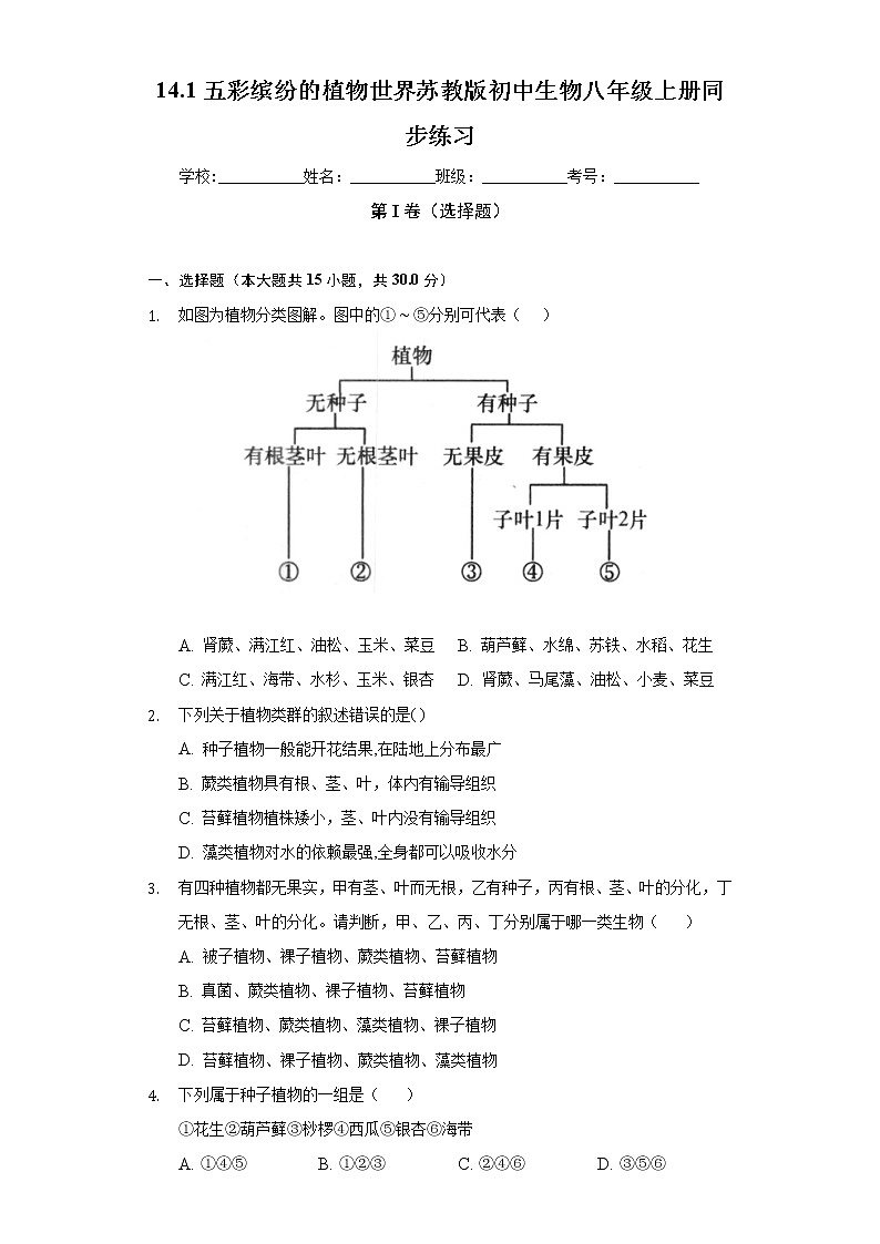 14.1五彩缤纷的植物世界 苏教版初中生物八年级上册同步练习（含答案解析）01