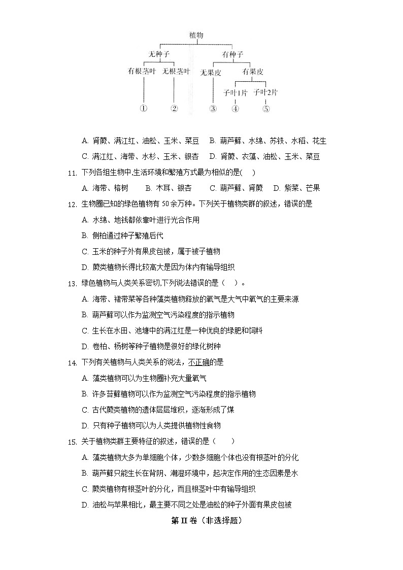 14.1五彩缤纷的植物世界 苏教版初中生物八年级上册同步练习（含答案解析）03