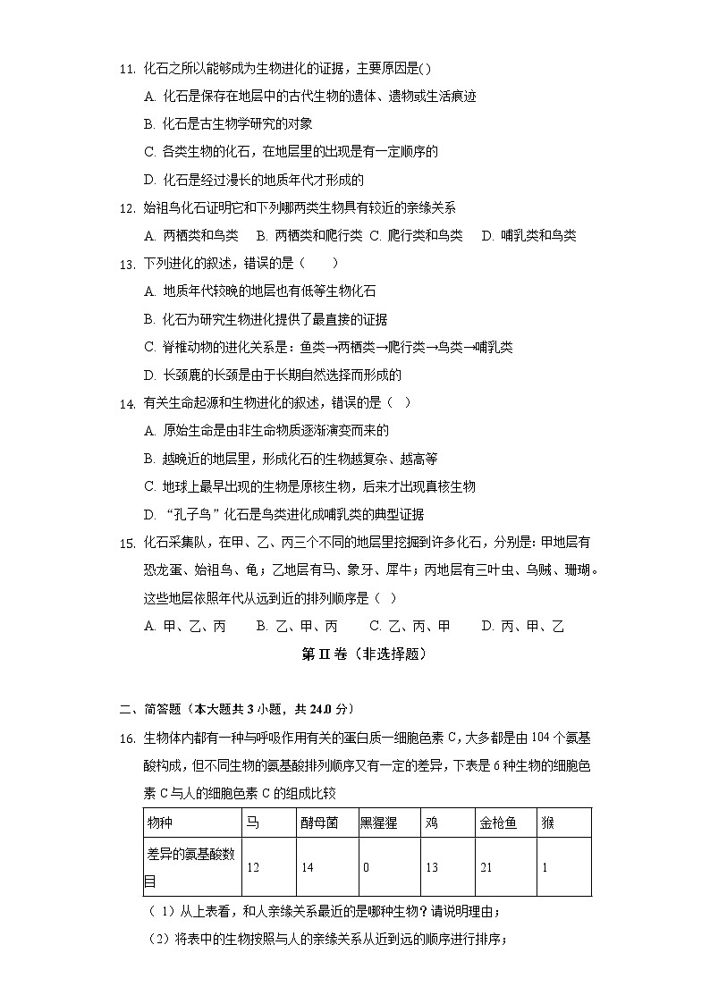 16.2生物进化的历程  苏教版初中生物八年级上册同步练习（含答案解析）03