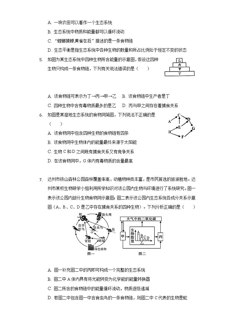 19.2生态系统中的能量流动和物质循环  苏教版初中生物八年级上册同步练习（含答案解析）第2页