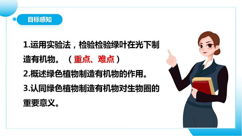 人教版初中生物七年级上册3.4《绿色植物是生物圈中有机物的制造者》课件第4页