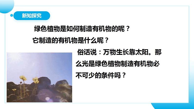 人教版初中生物七年级上册3.4《绿色植物是生物圈中有机物的制造者》课件第6页