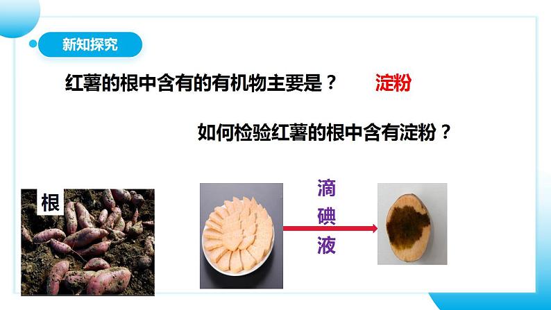 人教版初中生物七年级上册3.4《绿色植物是生物圈中有机物的制造者》课件第7页