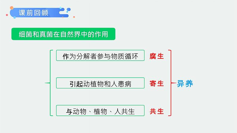 第四章第五节《人类对细菌和真菌的利用》课件+教案01