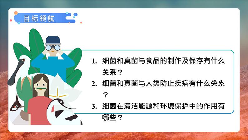 第四章第五节《人类对细菌和真菌的利用》课件+教案05