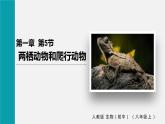 人教版八年级生物上册课件 第五单元 第一章 第五节 两栖动物和爬行动物