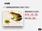 人教版八年级生物上册课件 第五单元 第一章 第五节 两栖动物和爬行动物