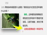 人教版八年级生物上册课件 第五单元 第一章 第五节 两栖动物和爬行动物