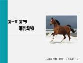 人教版八年级生物上册课件 第五单元 第一章 第七节 哺乳动物