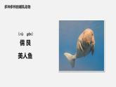 人教版八年级生物上册课件 第五单元 第一章 第七节 哺乳动物