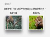 人教版八年级生物上册课件 第五单元 第二章 第二节  先天性行为和学习行为