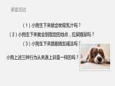 人教版八年级生物上册课件 第五单元 第二章 第二节  先天性行为和学习行为
