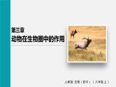 人教版八年级生物上册课件 第五单元 第三章 动物在生物圈中的作用