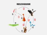 人教版八年级生物上册课件 第五单元 第三章 动物在生物圈中的作用