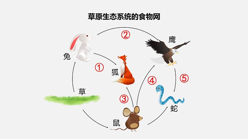 人教版八年级生物上册课件 第五单元 第三章 动物在生物圈中的作用02