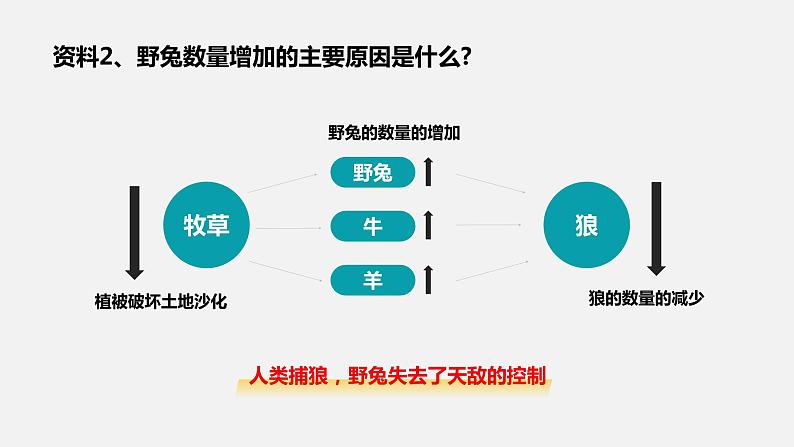 人教版八年级生物上册课件 第五单元 第三章 动物在生物圈中的作用05