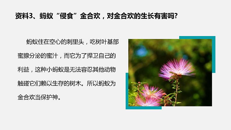 人教版八年级生物上册课件 第五单元 第三章 动物在生物圈中的作用06