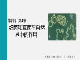 人教版八年级生物上册课件 第五单元 第四章 第四节 细菌和真菌在自然界中的作用