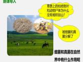人教版八年级生物上册课件 第五单元 第四章 第四节 细菌和真菌在自然界中的作用