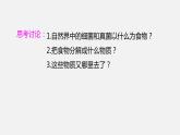 人教版八年级生物上册课件 第五单元 第四章 第四节 细菌和真菌在自然界中的作用