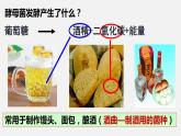 人教版八年级生物上册课件 第五单元 第四章 第五节 人类对细菌和真菌的利用