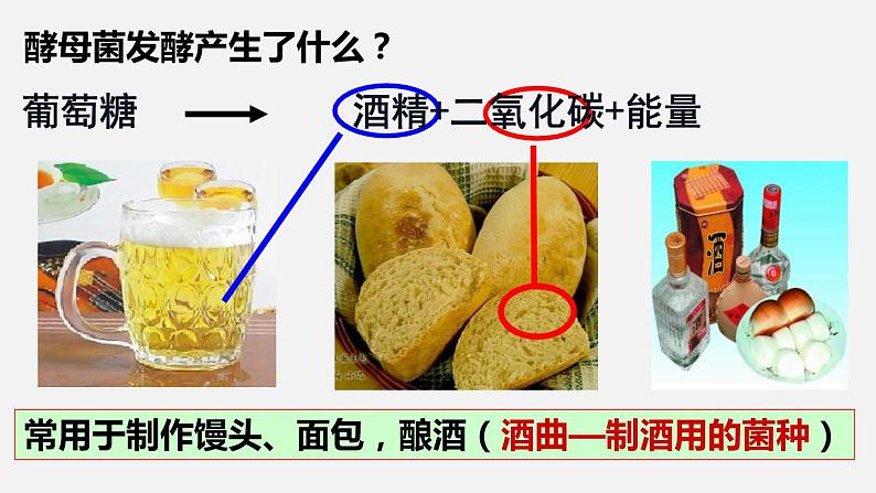 人教版八年级生物上册课件 第五单元 第四章 第五节 人类对细菌和真菌的利用第5页