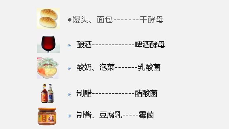 人教版八年级生物上册课件 第五单元 第四章 第五节 人类对细菌和真菌的利用第8页