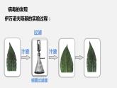 人教版八年级生物上册课件 第五单元 第五章 病毒