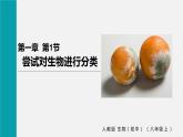 人教版八年级生物上册课件 第六单元 第一章 第一节 尝试对生物进行分类