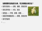 人教版八年级生物上册课件 第六单元 第一章 第一节 尝试对生物进行分类