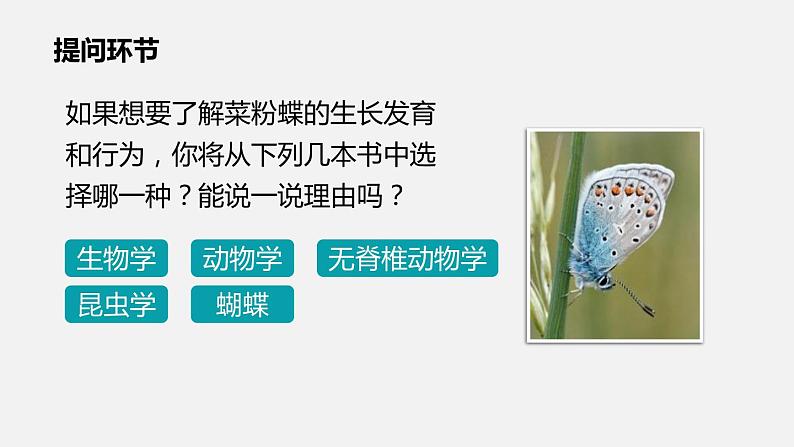 人教版八年级生物上册课件 第六单元 第一章 第一节 尝试对生物进行分类第4页