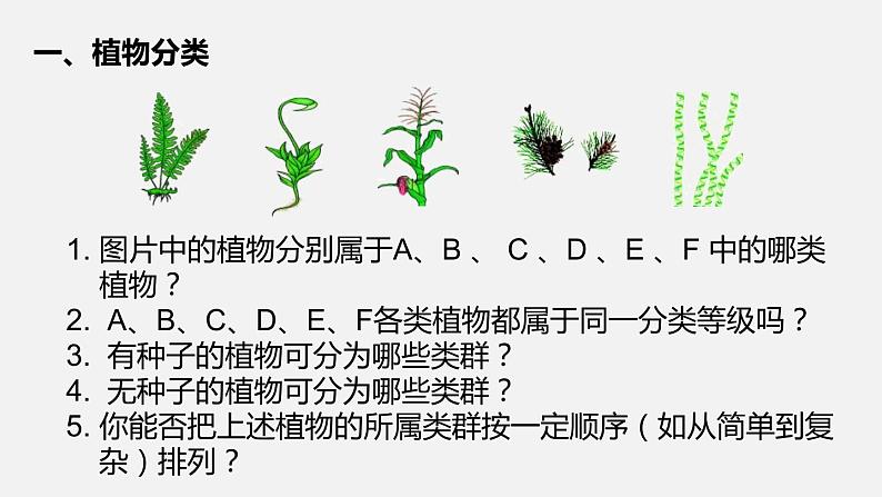 人教版八年级生物上册课件 第六单元 第一章 第一节 尝试对生物进行分类第7页