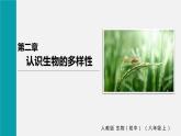 人教版八年級生物上冊課件 第六單元 第二章 認識生物的多樣性