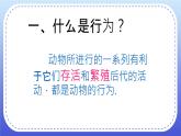 2.2《先天性行为和学习行为》课件+教案 -