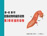 人教版八年级生物上册课件 第五单元 第一章 第一节 第2课时 扁形动物