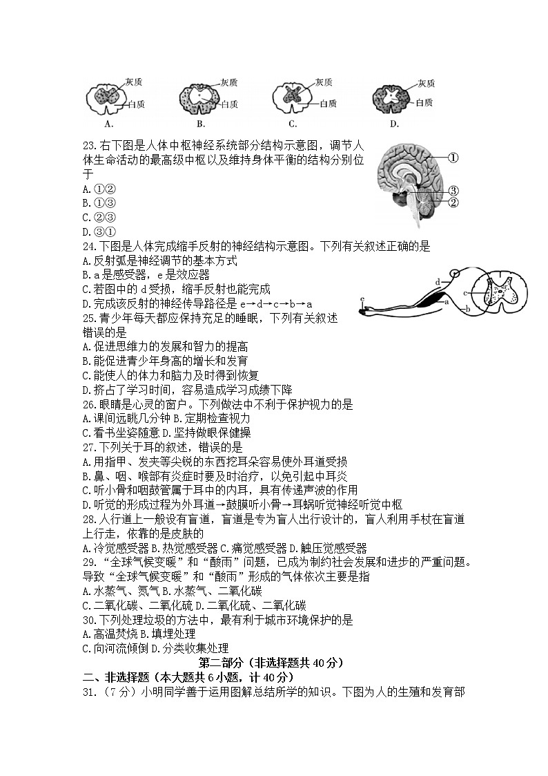 陕西省汉中市城固县2021-2022学年七年级下学期期末调研检测生物试题(word版含答案)第3页